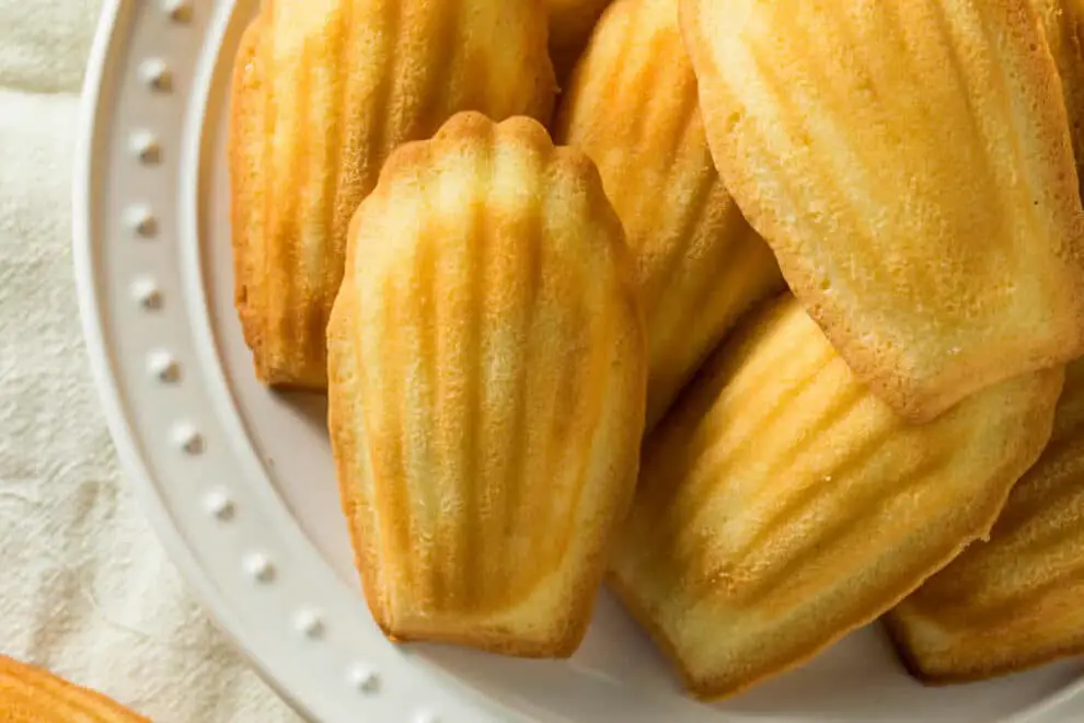 madeleines moelleuses au beurre des délicieuses petites pâtisseries